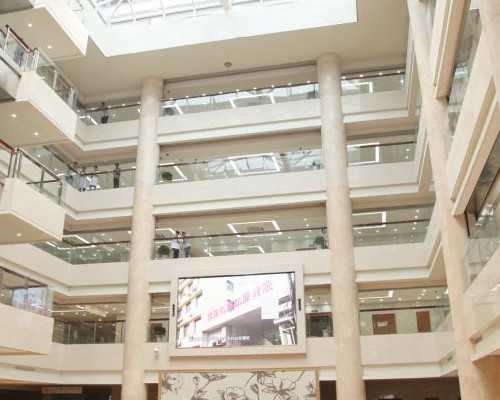 泡脚能够促进体内的血液循环，那怀孕初期能泡吗？,代生助孕