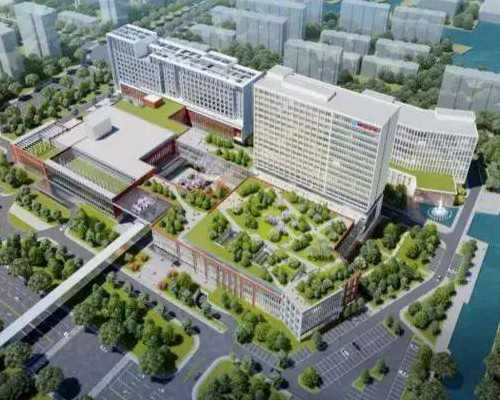 武汉供卵试管费用明细,武汉供卵包男孩多少钱-品种小的狗狗