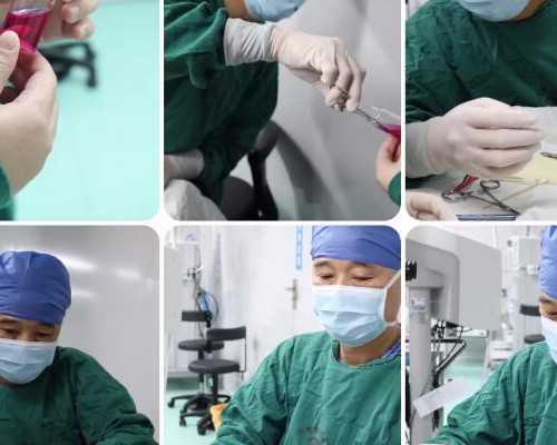 澳洲技术移民常见问答（2026-17澳洲投资移民昆士兰州新政公布：投资要求大降