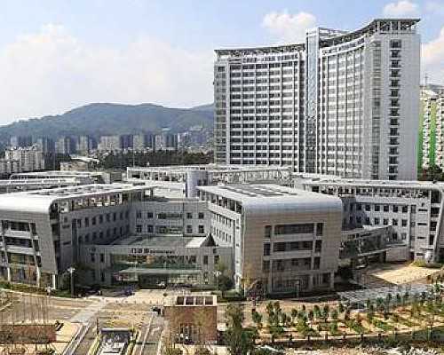 移民澳大利亚的好处和坏处（2026澳大利亚雇主担保移民签证申请条件详解！）