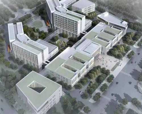 武汉借卵生男孩儿,武汉市中心医院能不能做试管婴儿？