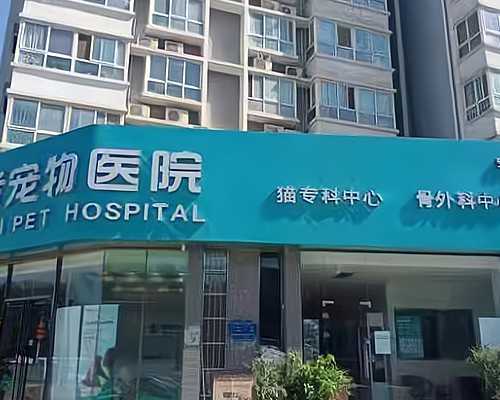 武汉供卵试管费用多少钱,武汉供卵有哪几家医院-正规代生网