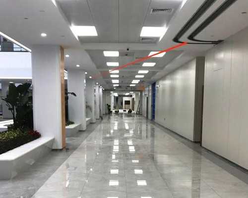 移民德国还是瑞士【德国留学移民的条件要求】