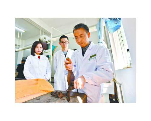 澳大利亚移民情况{澳大利亚工作好找吗，这些方法助你立即找到满意工作！}