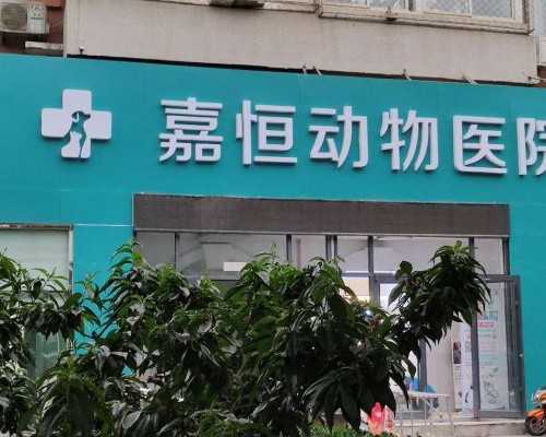 都说amh 不可逆？28岁打工人从0.86到2.25！